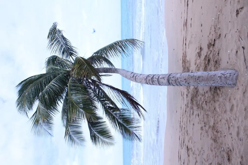 Del Mar Eco Lodging Apartments Luquillo