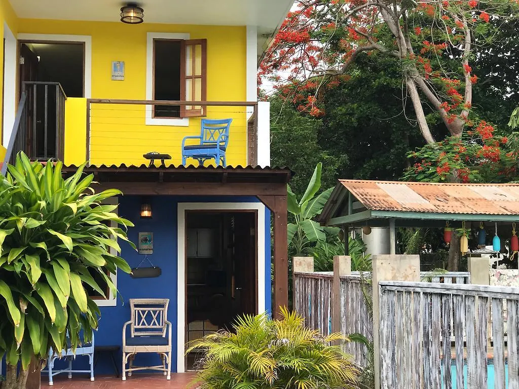 Del Mar Eco Lodging Apartments Luquillo Puerto Rico